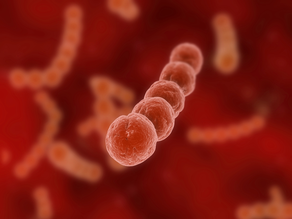 Ilustración microscópica de bacterias estreptococos, asociadas a infecciones detectadas mediante un test de estreptococo en Torrejón de Ardoz.