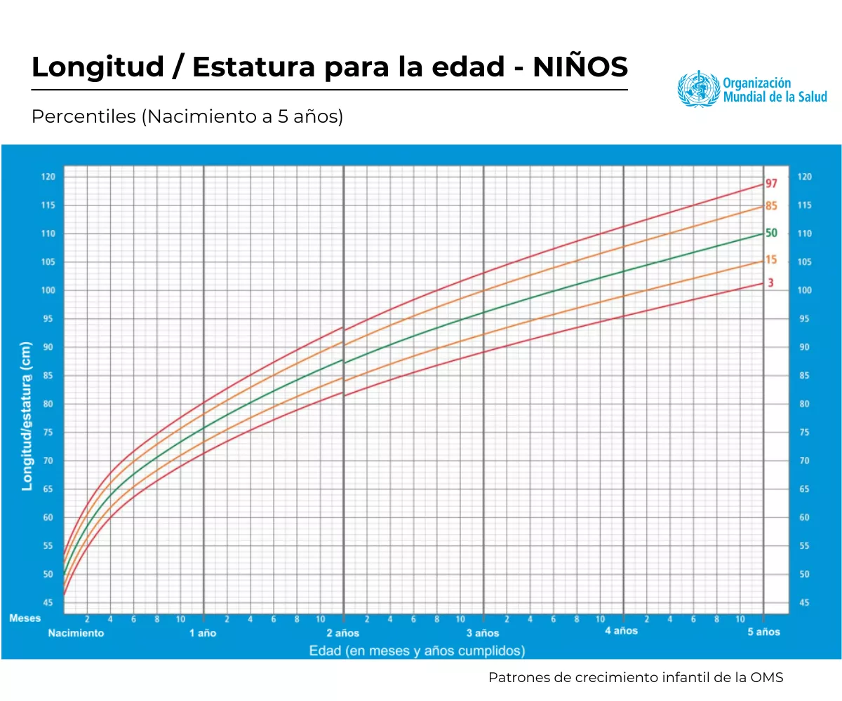 Percentil Longitud Niño | Patrones de crecimiento infantil de la OMS